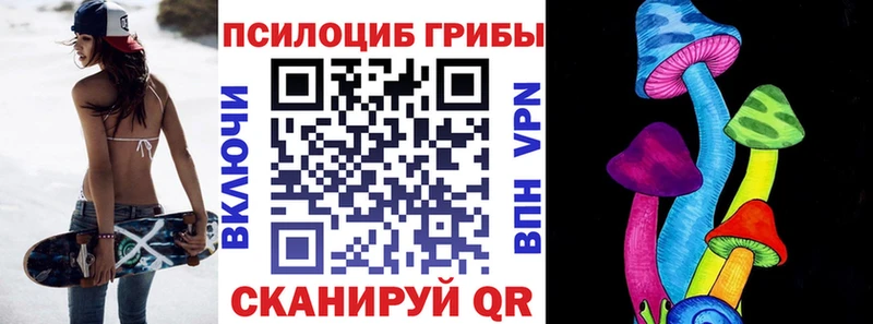 наркота  Данков  Псилоцибиновые грибы Cubensis 