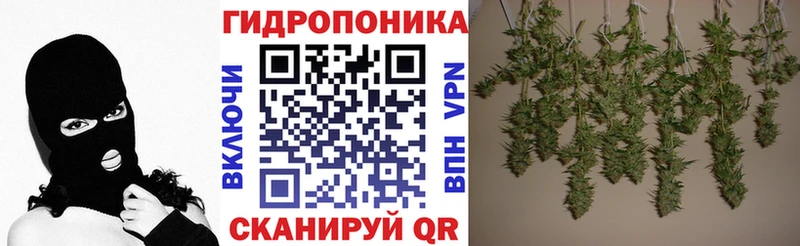 Конопля AK-47  Данков 